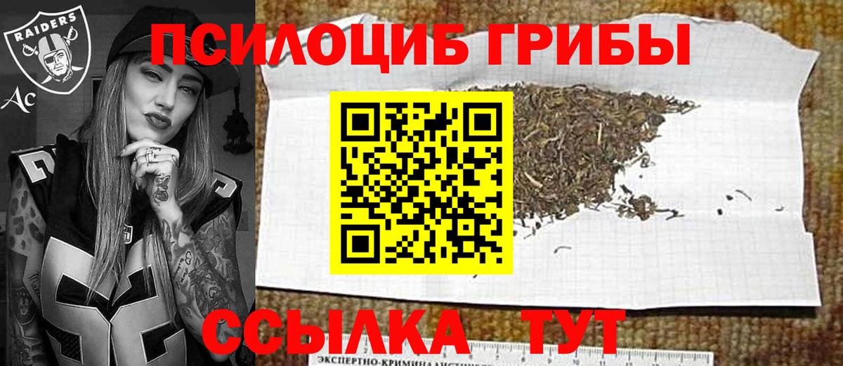 Псилоцибиновые грибы GOLDEN TEACHER Железногорск